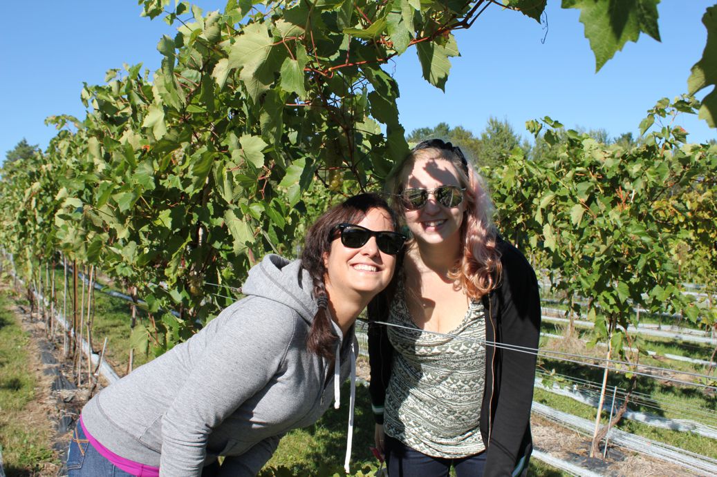 Vendanges19.jpg